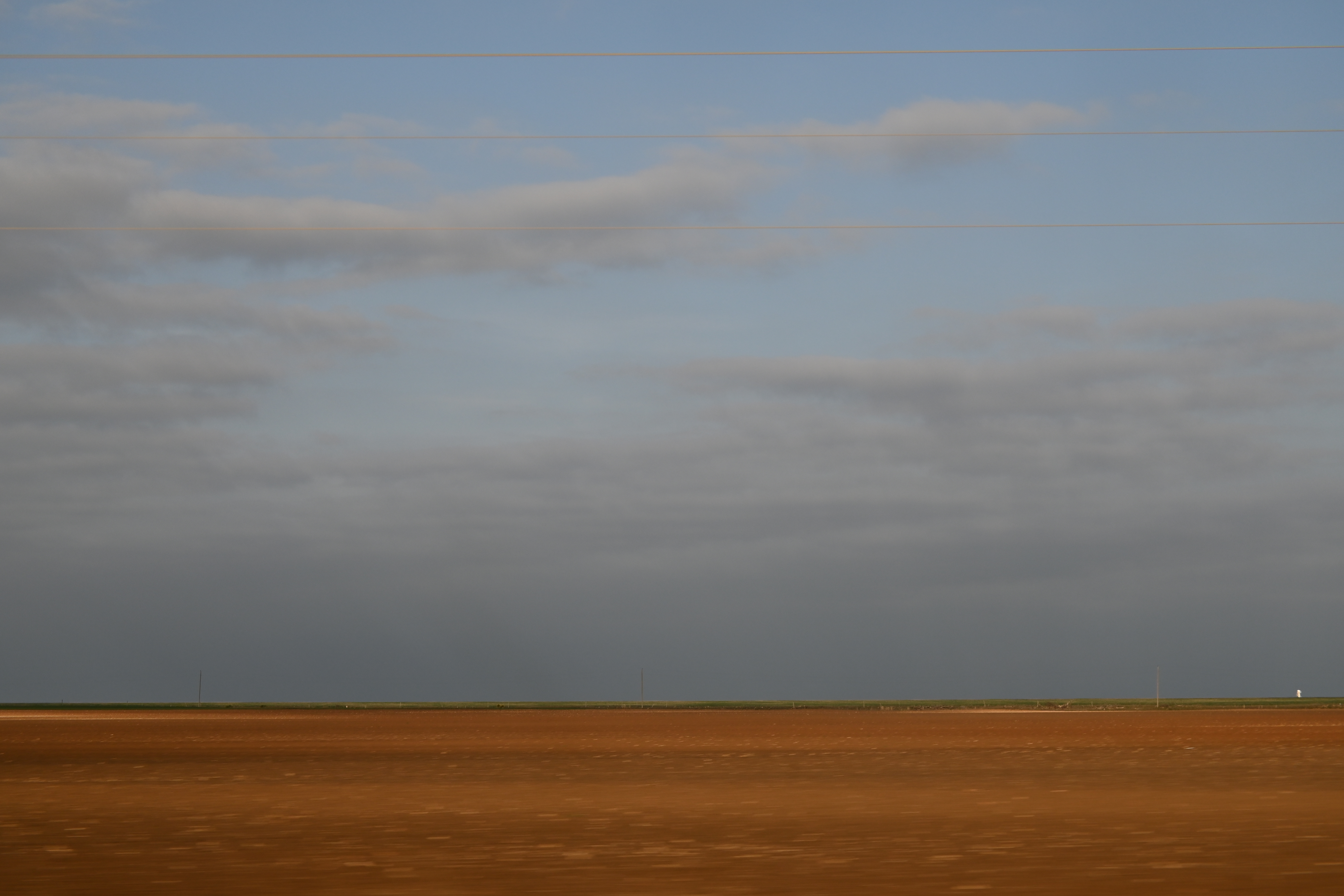 color photo of a yellow field composing a flat horizon, with soft clouds and power lines at the top of the frame